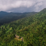 Recorrido Virtual por las Maravillas Naturales de Puerto Rico